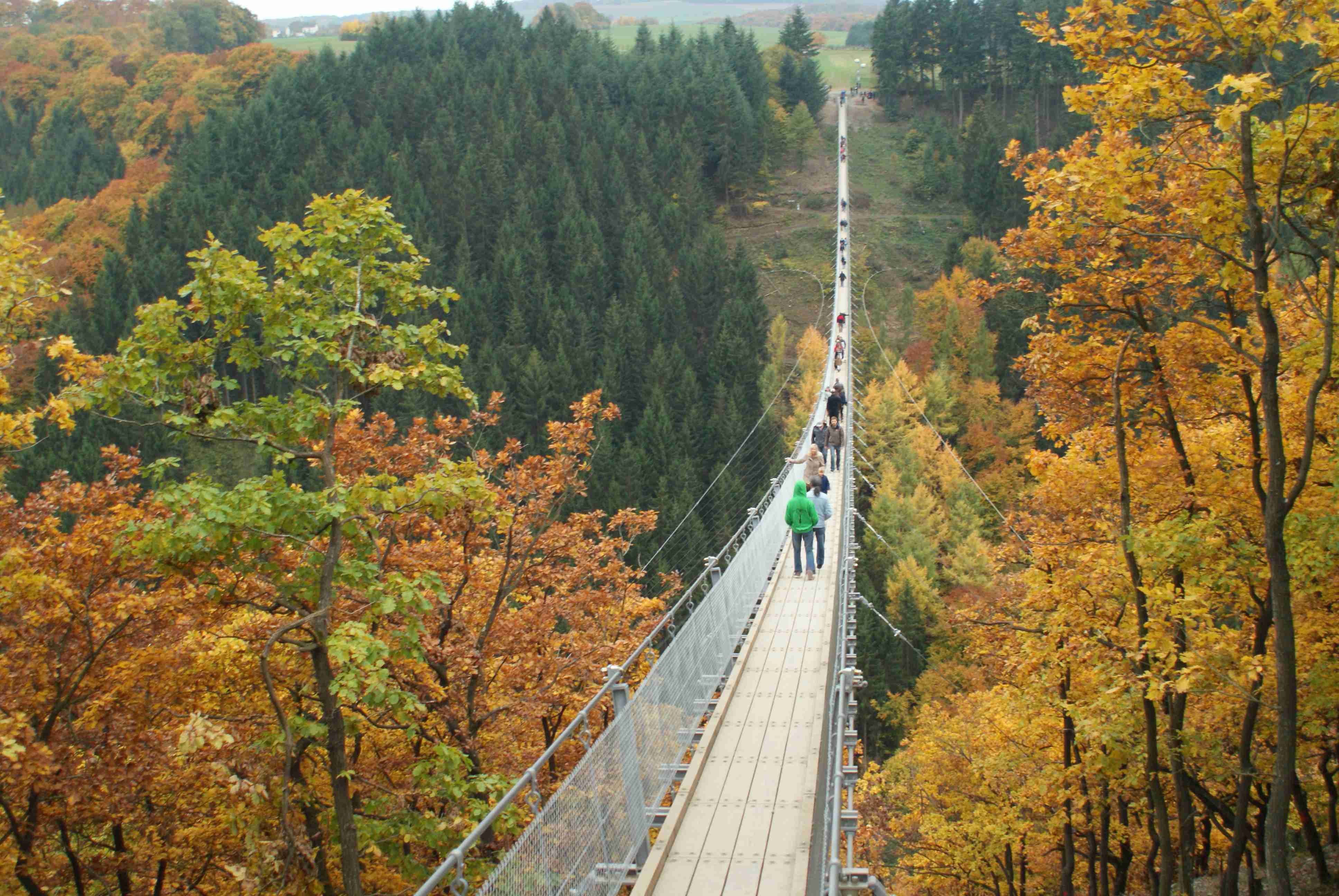 Geierlay Herbst