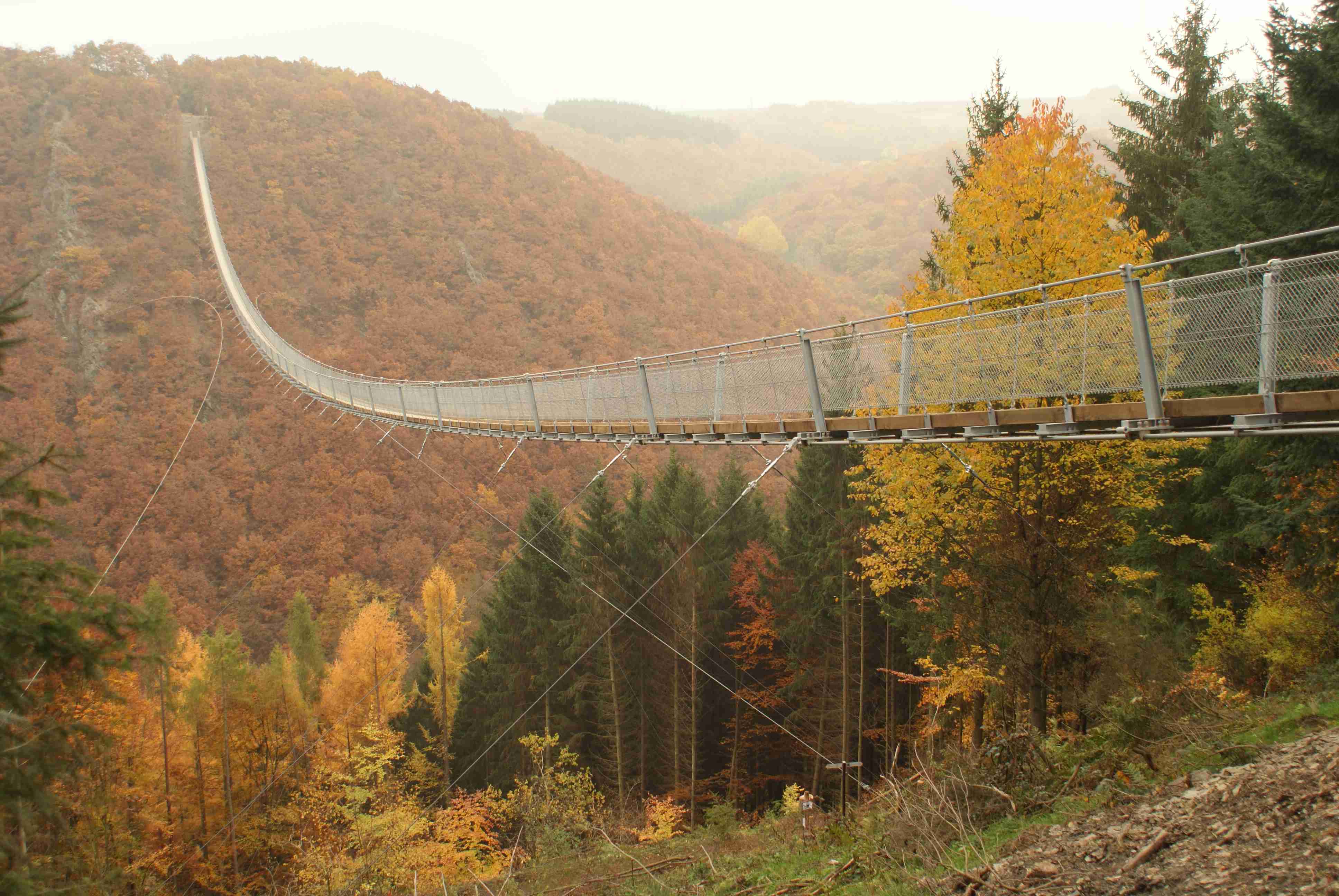 Geierlay Herbst