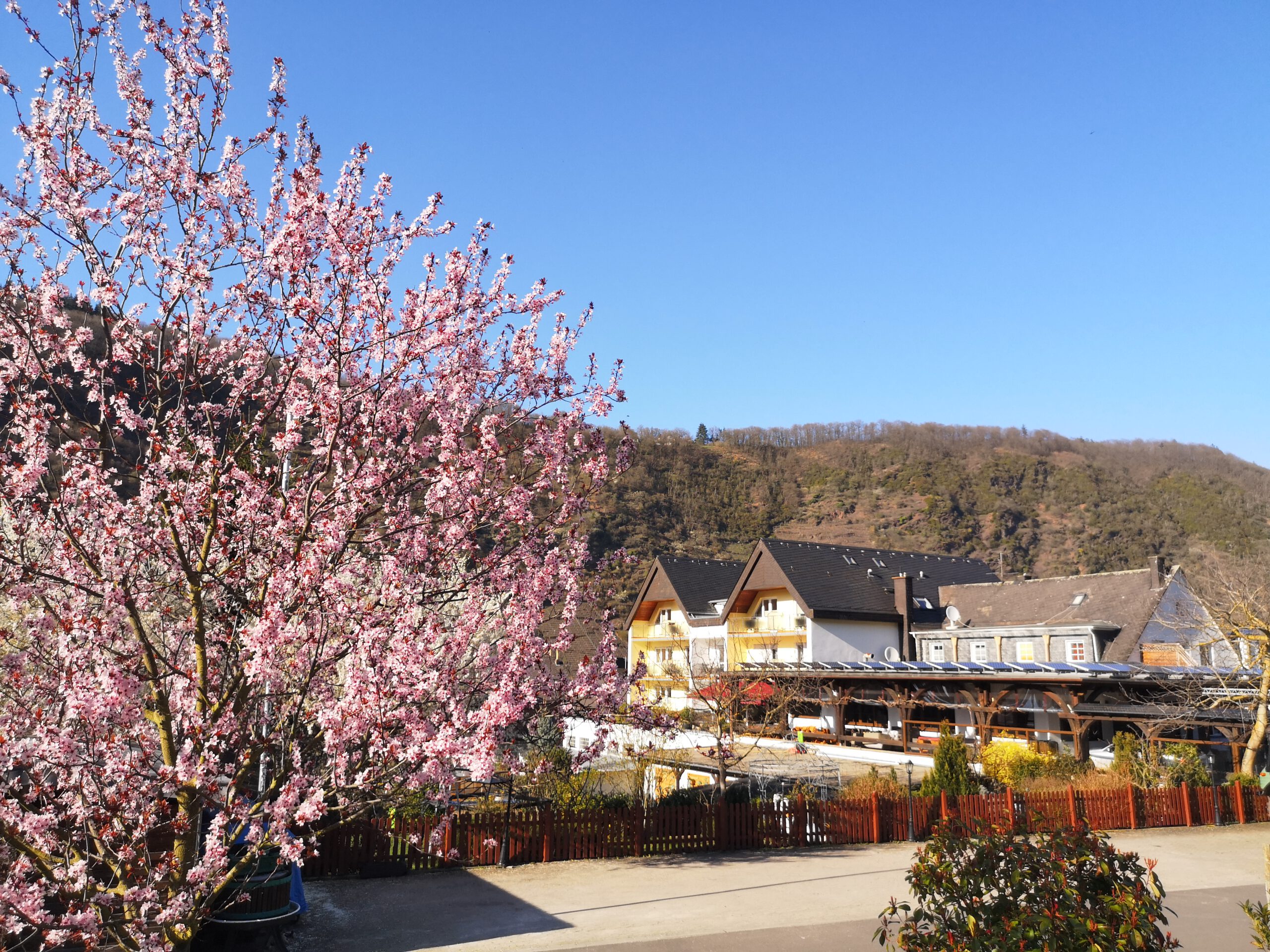 Sonnenschein Frühjahr